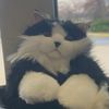 fluffykat1428