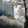 rhckal04