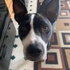 574zelda
