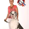 evelynesallet
