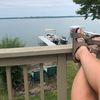 sarahlatham4