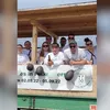 bene.liehr