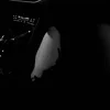 vividxz777