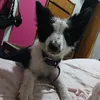 juliettdmfw