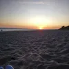 laurucius98