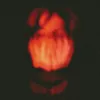 mybloodyvalentine._