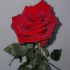 warda.bh