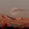 dye_035