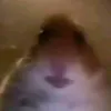 lilrumeno