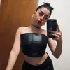 delfiluna3