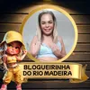 blogueirinhadomadeira