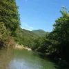 croco.3.3