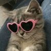 heyimcooly