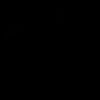 michialva04