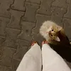 meryem_mirixa