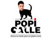 EL POPI CALLE TV