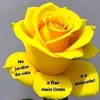 rosanebelinha