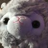 jellyb_lovekittys