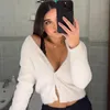 rosaliadaurella
