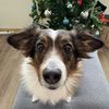 remzmom13