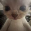 marshmewow123