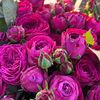 flowerlover_35