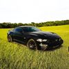 faithy5.0