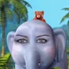 tomatoechilly
