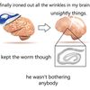 serendipityuprising