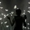 silkeminoes