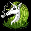 _the_original_unicorn_