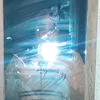 gelsibethfernande