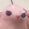 ruttenfrukt