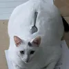 marilonga__
