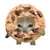lilhaymi