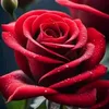 nour2018825