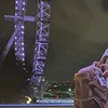 royabehb