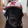 tomdog09