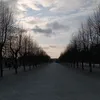 dxmxtra