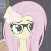 flutterbite_lily