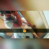 evelynthaiany