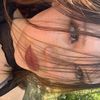 lylias_public_enemy