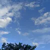 nlgdp