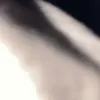 tiagobasso3