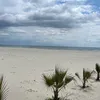 mariamasha6