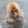 monkeybusiness031