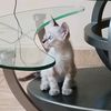 gatitotravieso6