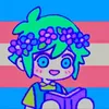 transmascsnearyou