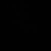 araceliboii