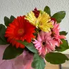 denise.knf